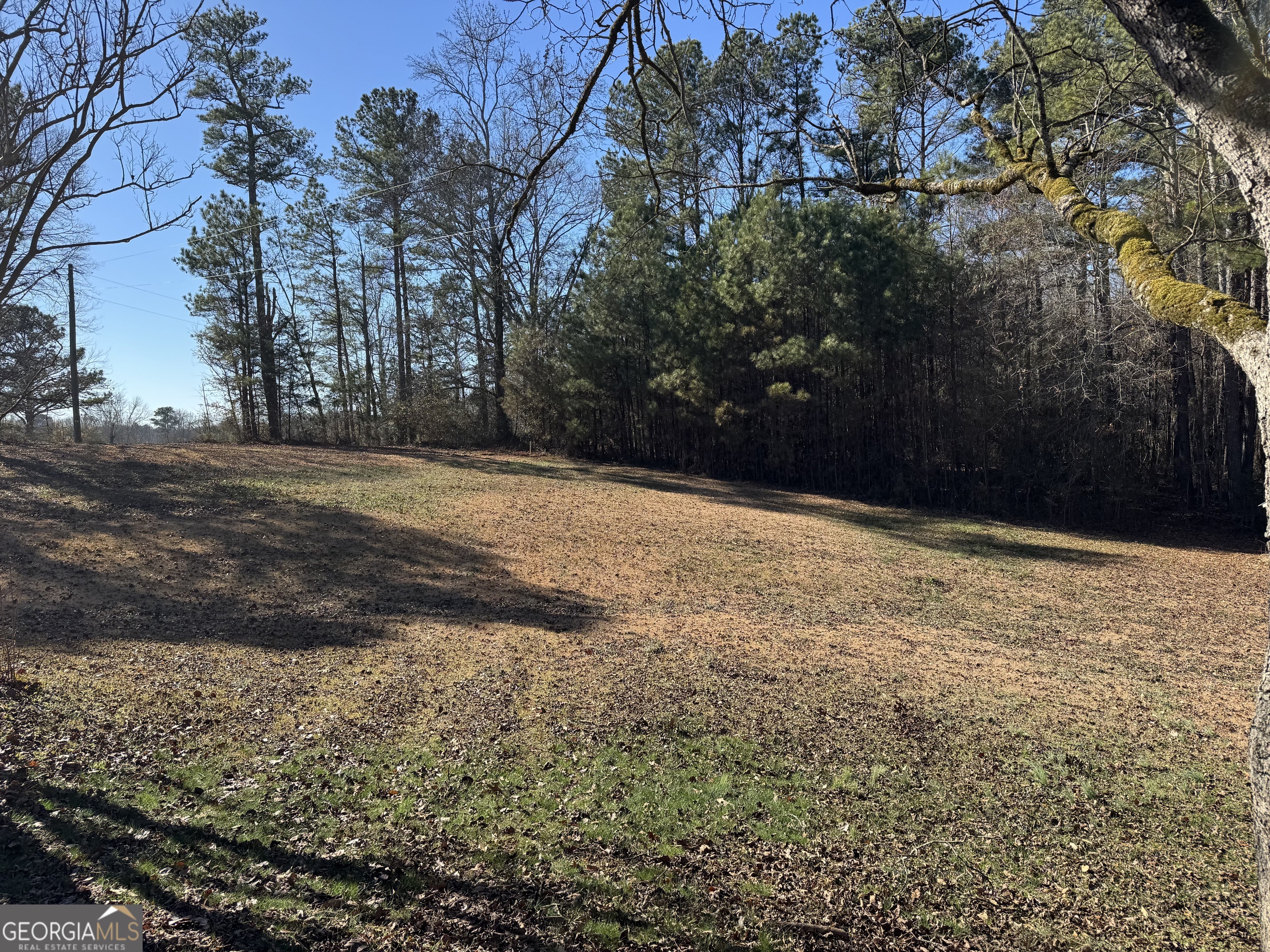 569 Farmers High Road Carrollton, GA 30117 - Photo 3 of 11 a view of empty yard with trees
