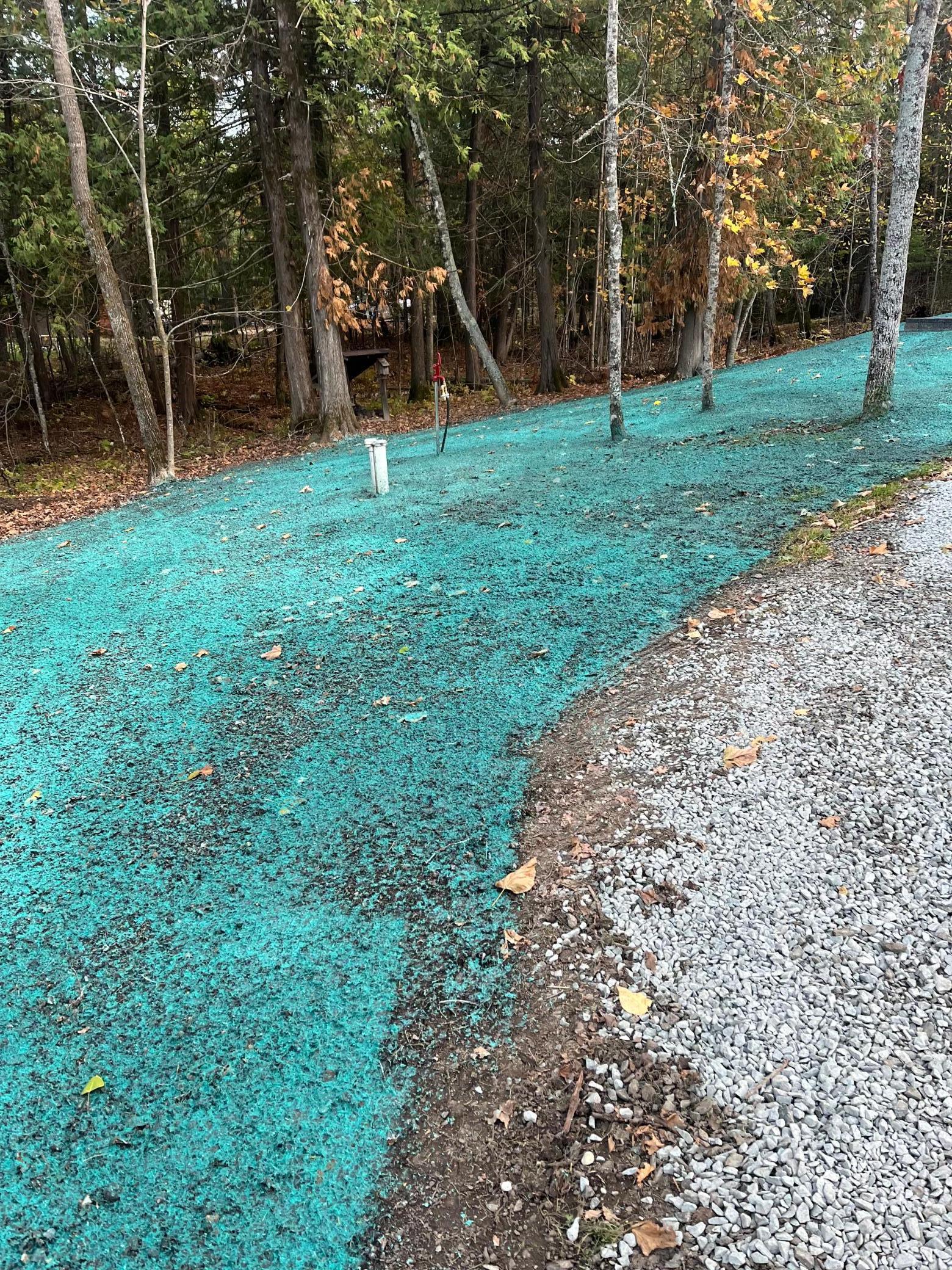 1085 South Gull Lake Road Southwest Tenstrike, MN 56683 - Photo 12 of 27