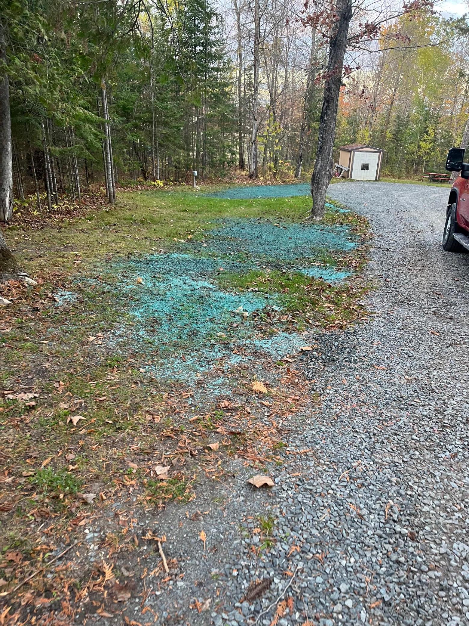 1085 South Gull Lake Road Southwest Tenstrike, MN 56683 - Photo 14 of 27