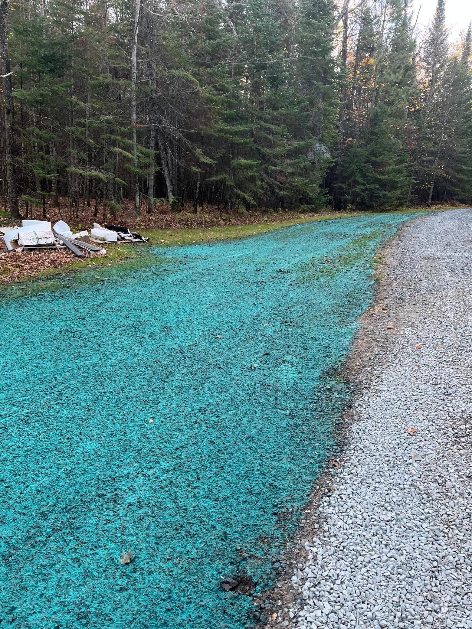 1085 South Gull Lake Road Southwest Tenstrike, MN 56683 - Photo 21 of 27