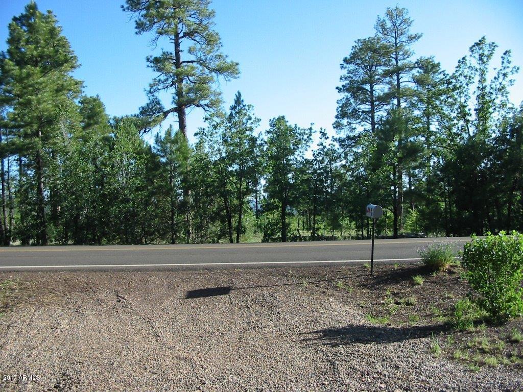 2958 West Rim Road Lakeside, AZ 85929 - Photo 6 of 13 107-0782_IMG