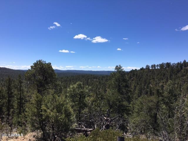 2958 West Rim Road Lakeside, AZ 85929 - Photo 7 of 13 1