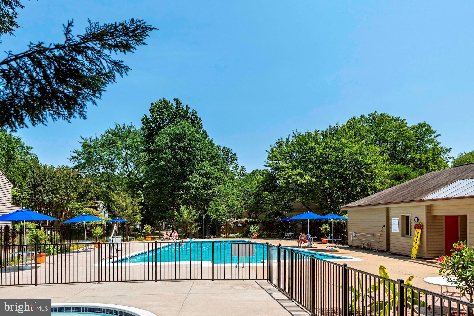 1117 Cedar Ridge Court Annapolis, MD 21403 - Photo 20 of 21 Pool surrounded by gardens