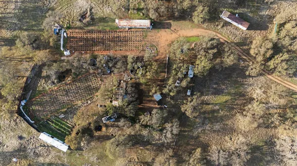 a view of city and ocean