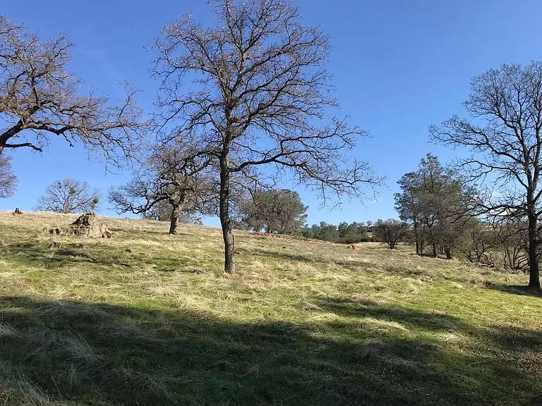 0 Lanford Pacheco Road Valley Springs, CA 95252 - Photo 8 of 26