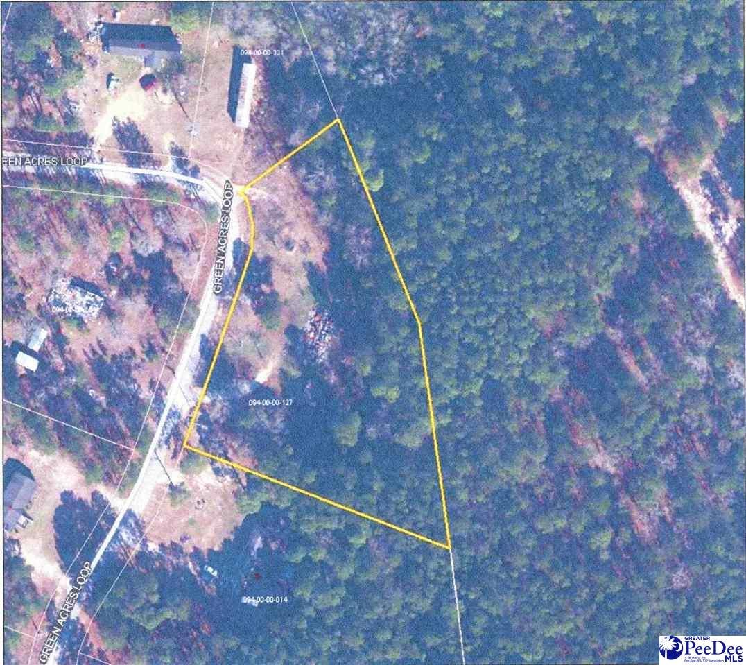 Tbd Green Acres Loop Dillon, SC 29536 - Photo 1 of 1 Gallery Image 1