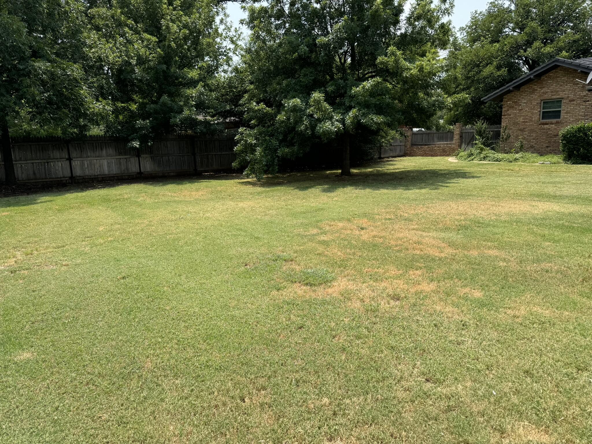 1408 Amarillo Plainview, TX 79072 - Photo 32 of 33 IMG_3297