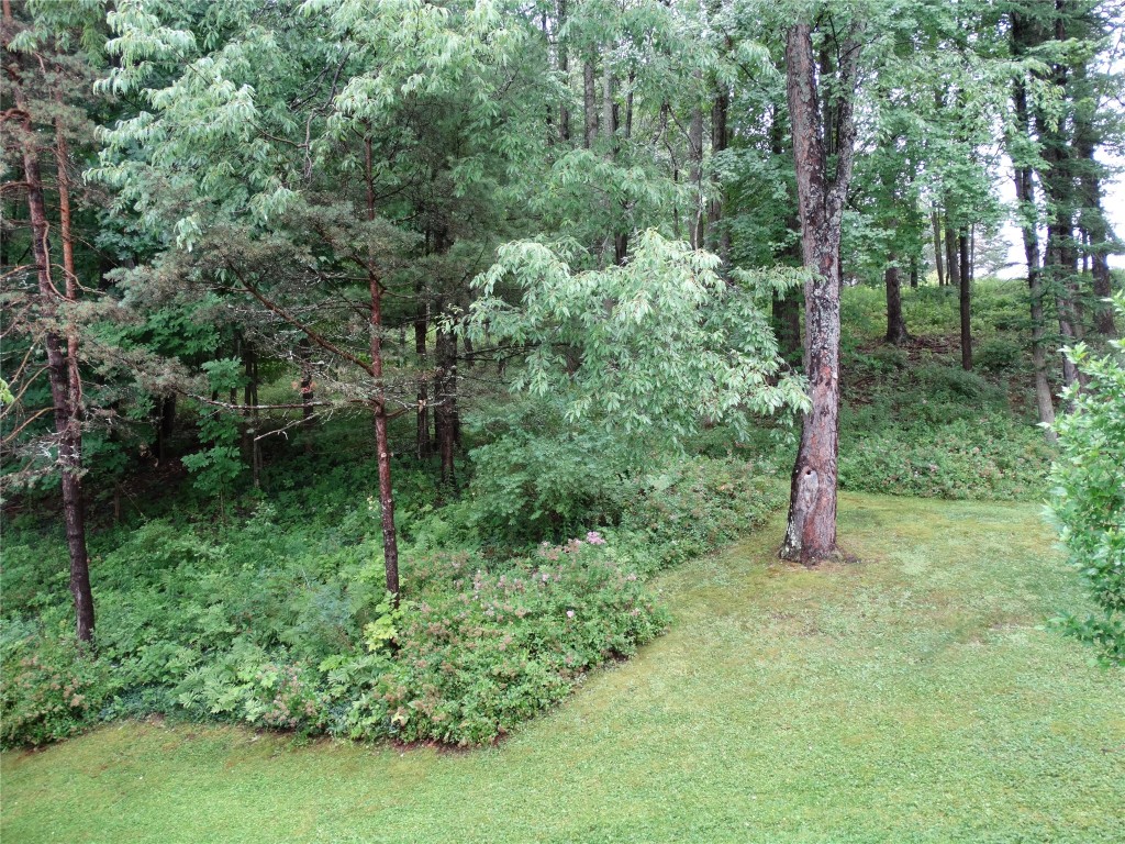 483 Jones Road Vestal, NY 13850 - Photo 34 of 42 Gallery Image 34