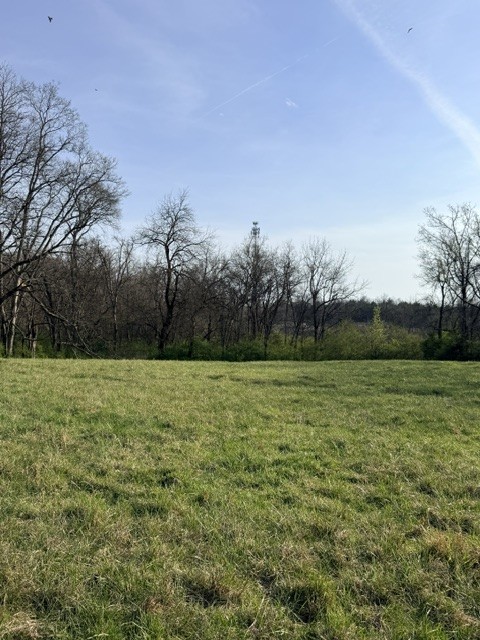 2200 Sugar Ridge Road Spring Hill, TN 37174 - Photo 6 of 9