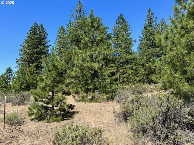 41 Timber Drive Goldendale, WA 98620 - Photo 9 of 23