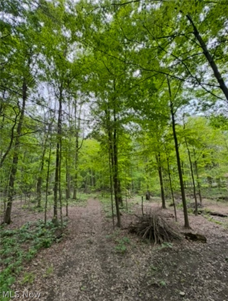 12684 Taylor Wells Road Chardon, OH 44024 - Photo 26 of 38