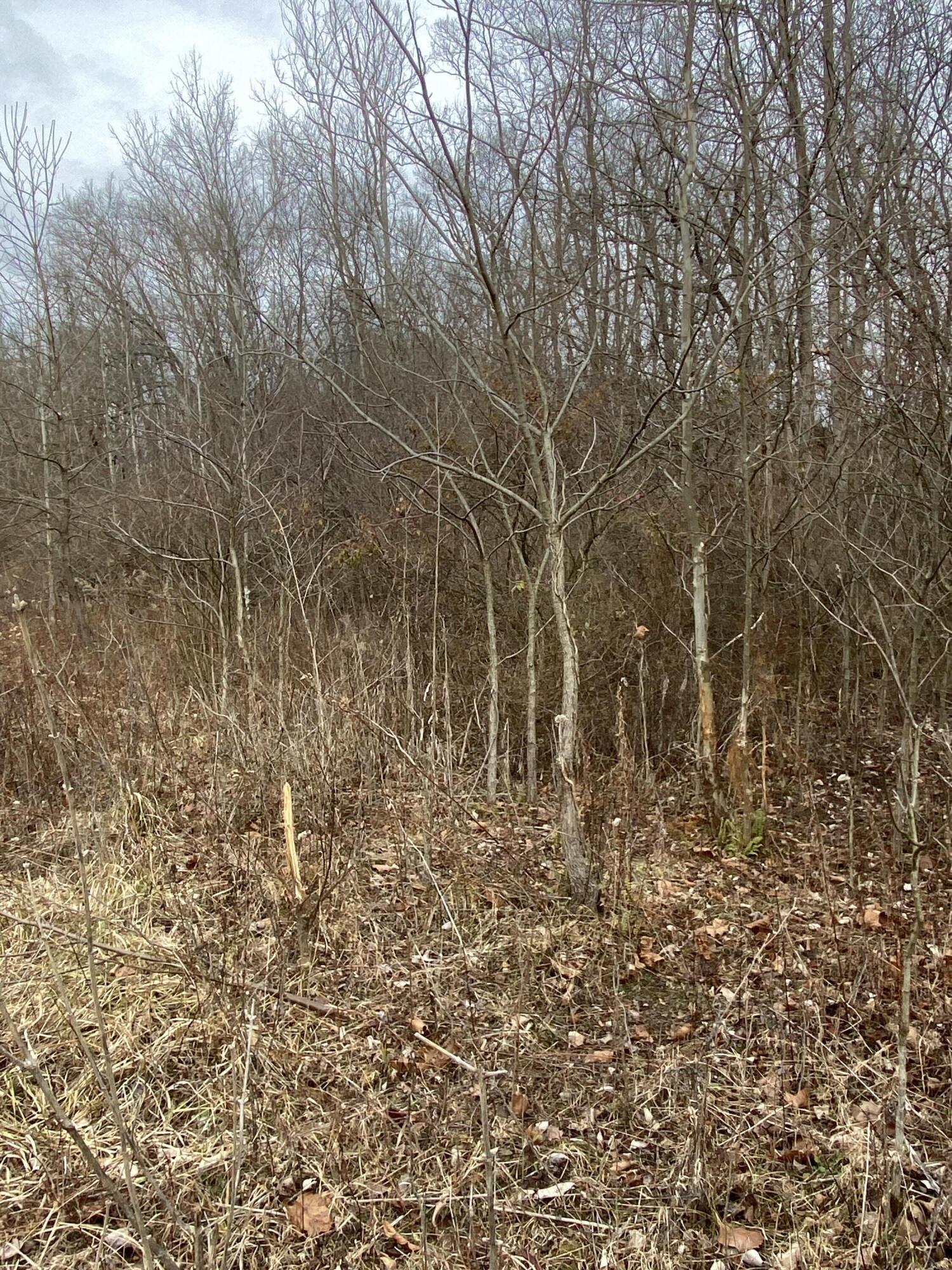 4010 Sharpsburg Road Eaton, OH 45320 - Photo 20 of 57 Gallery Image 20