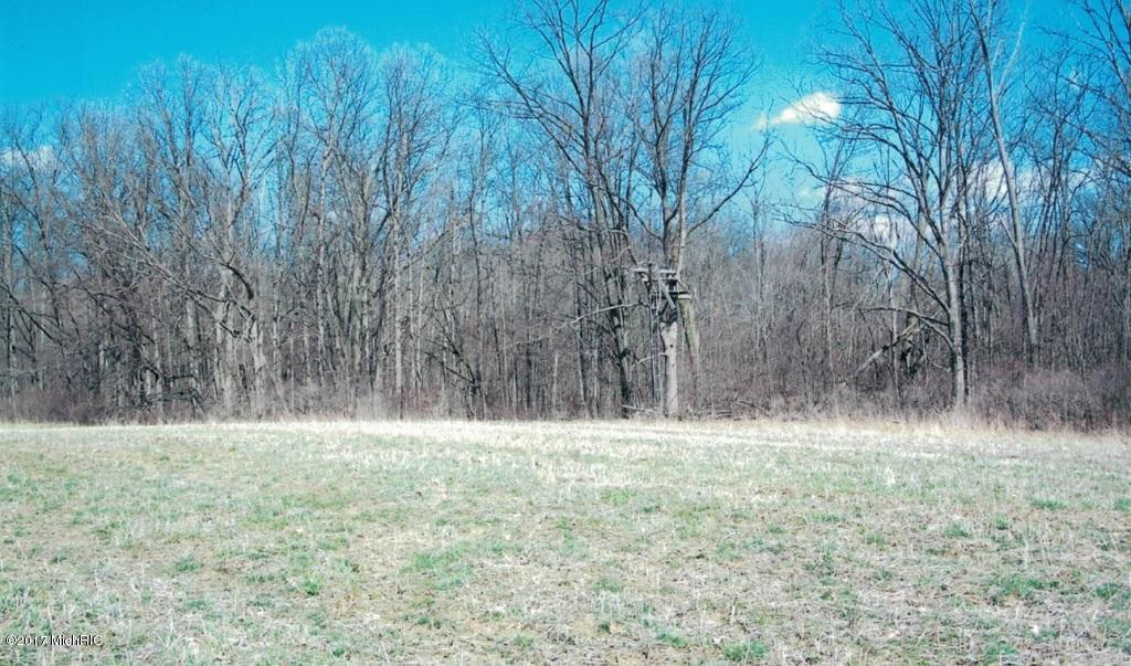 12000 Packard Road Morenci, MI 49256 - Photo 17 of 23 18
