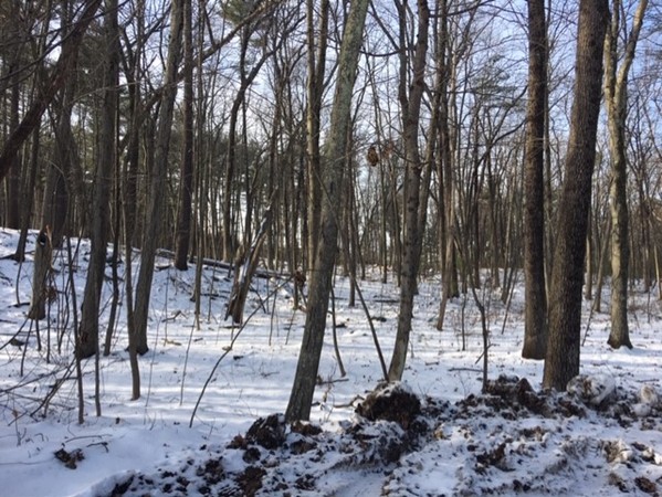 0 Downs Road Westford, MA 01886 - Photo 2 of 4 Gallery Image 2