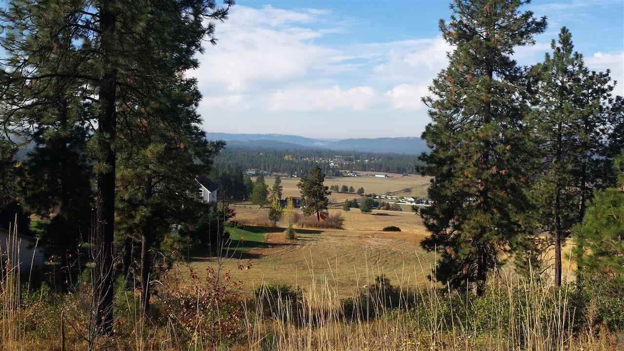 0 North Greenbluff Road Colbert, WA 99005 - Photo 1 of 1