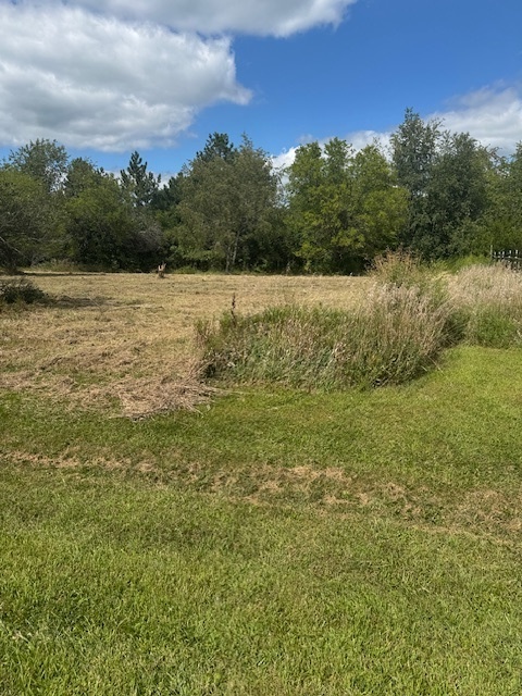 7 Rebecca Lane Clinton, IL 61727 - Photo 2 of 7