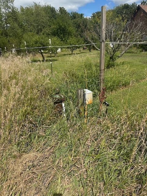 7 Rebecca Lane Clinton, IL 61727 - Photo 3 of 7