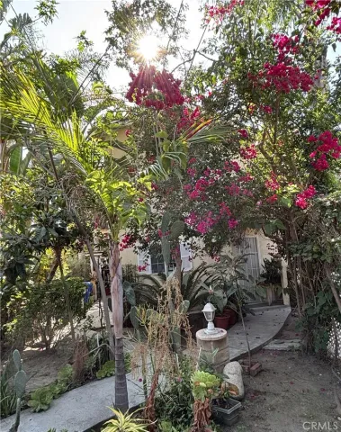 a picture of flowers