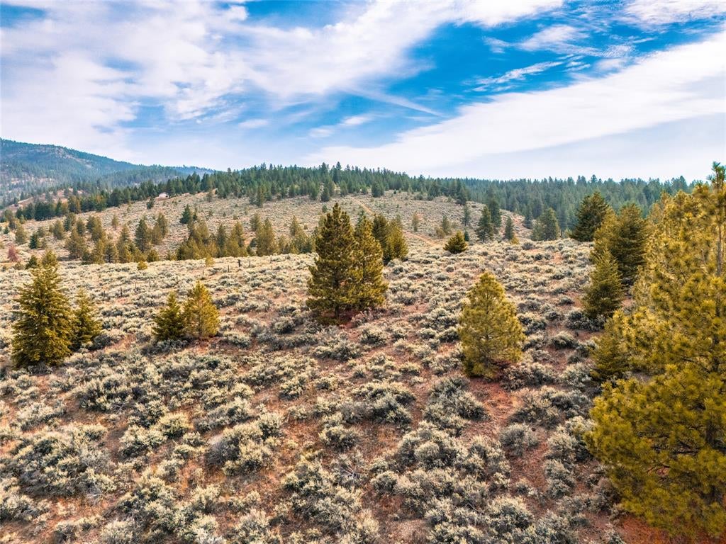 Lot 10 Sapphire Ridge Florence, MT 59833 - Photo 22 of 23 Gallery Image 22