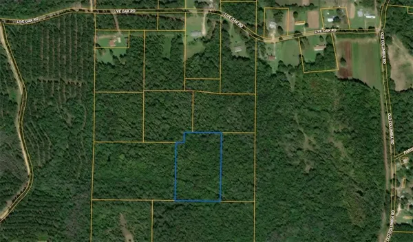 $20,000 | Nhn Will Roberts Road, Angie, LA 70426