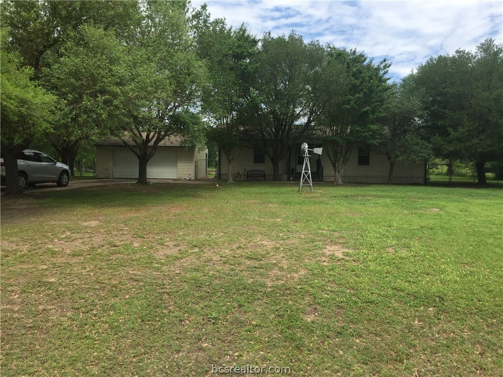 a view of a tree in a yard