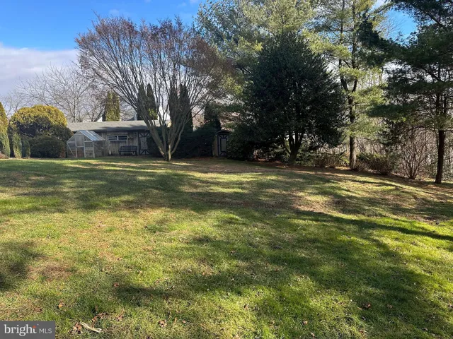 a view of a trees in a yard
