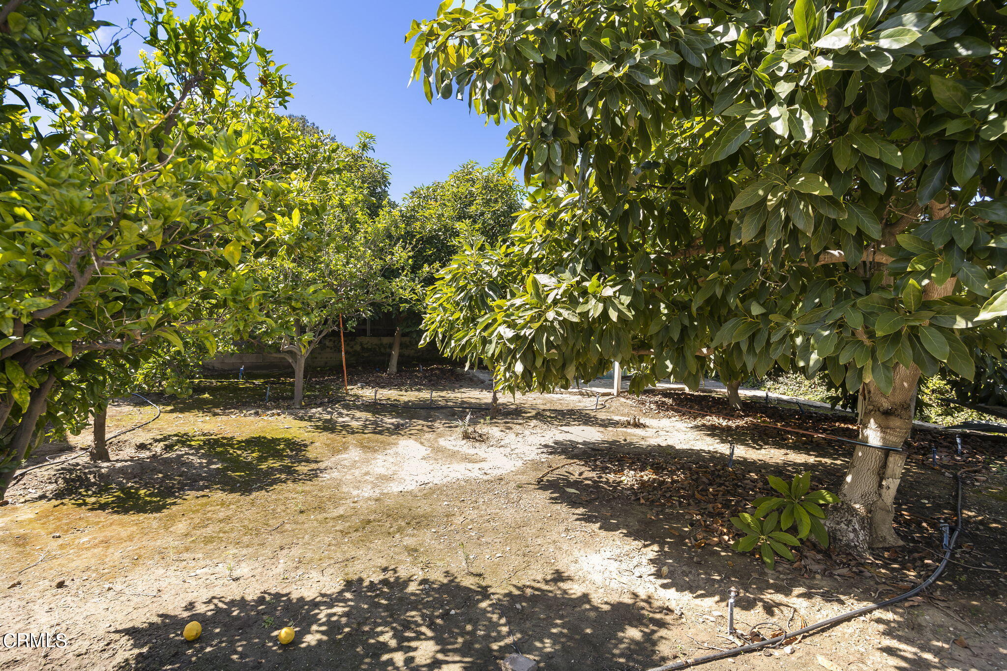 10561 Darling Road Ventura, CA 93004 - Photo 44 of 50 45-web-or-mls-Upmarketmedia_10561Dar-179