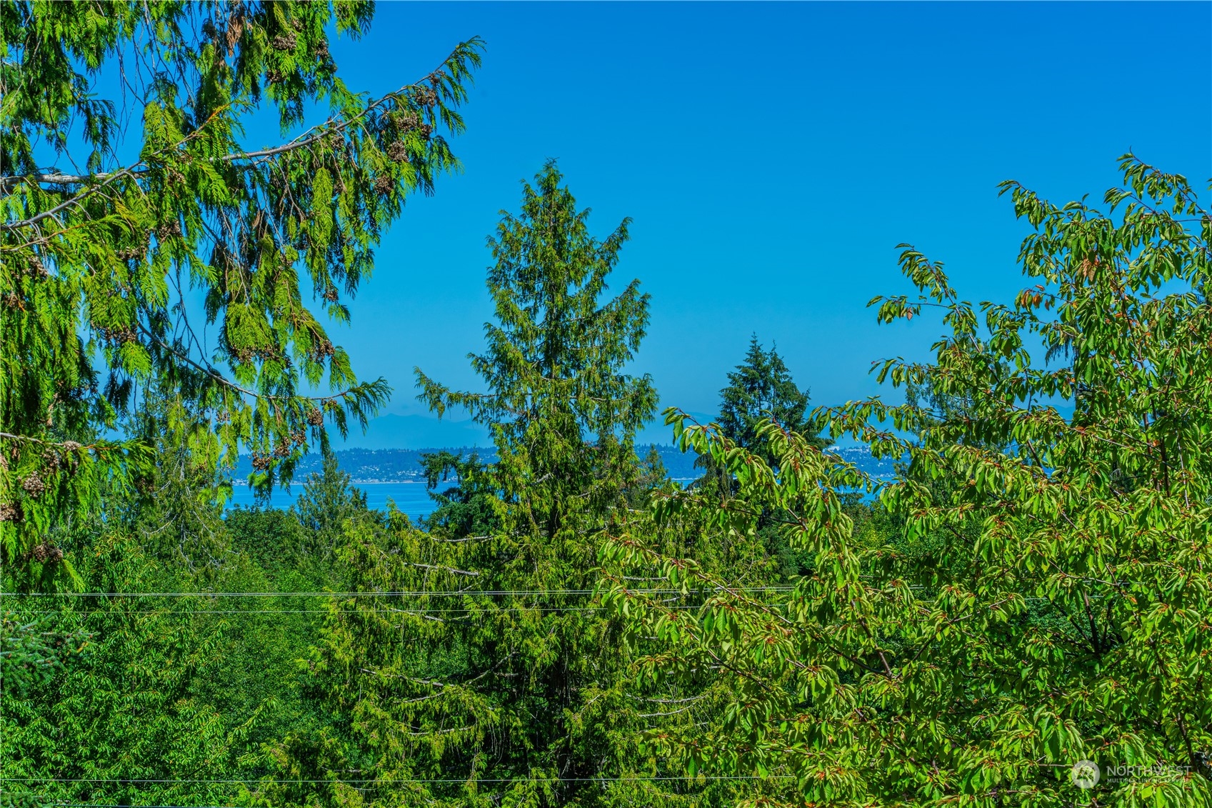 7347 East Collins Road Port Orchard, WA 98366 - Photo 35 of 40 Gallery Image 35