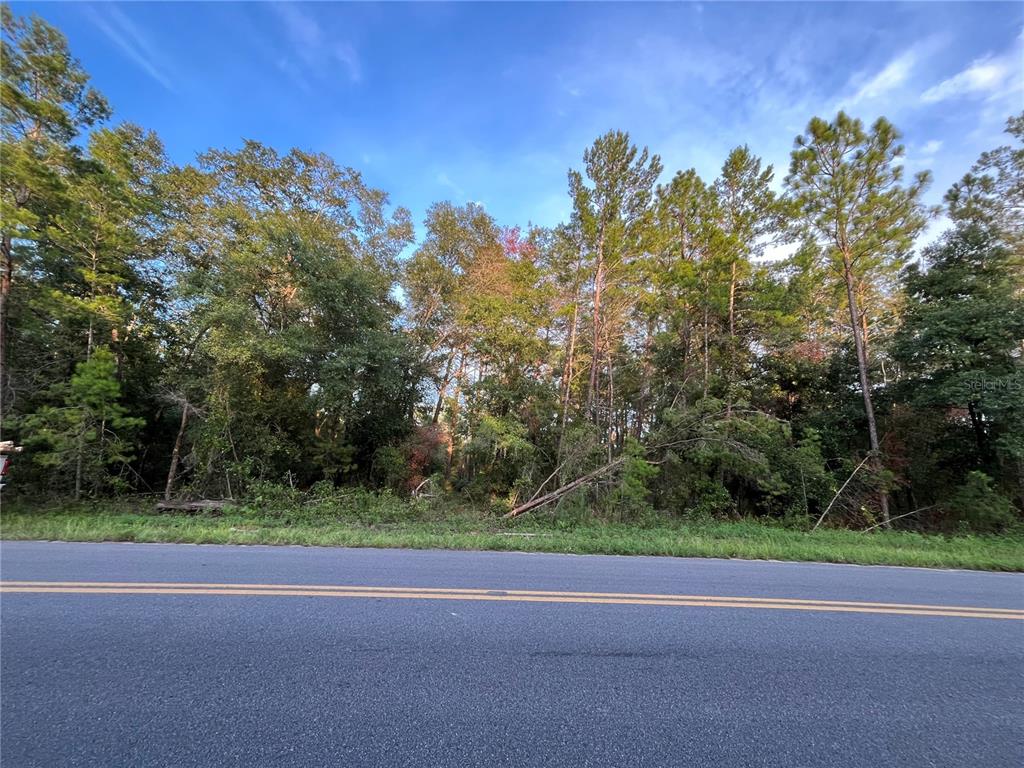 Tbd Twin Lakes Road Interlachen, FL 32148 - Photo 9 of 9