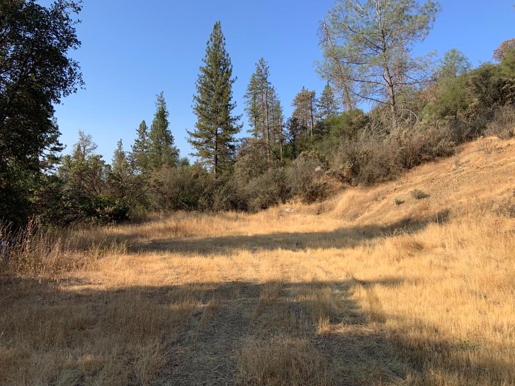 17340 Scopar Road Grass Valley, CA 95949 - Photo 3 of 10 Gallery Image 3