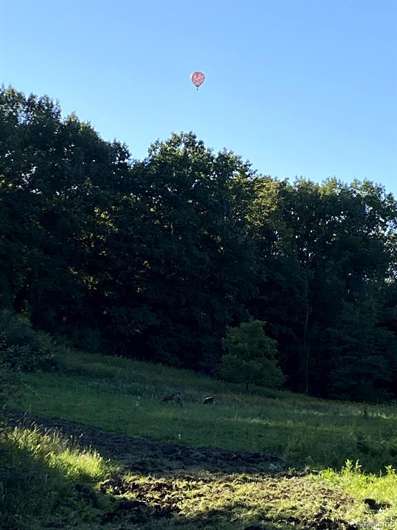 3940 Wilder Road Metamora, MI 48455 - Photo 28 of 42