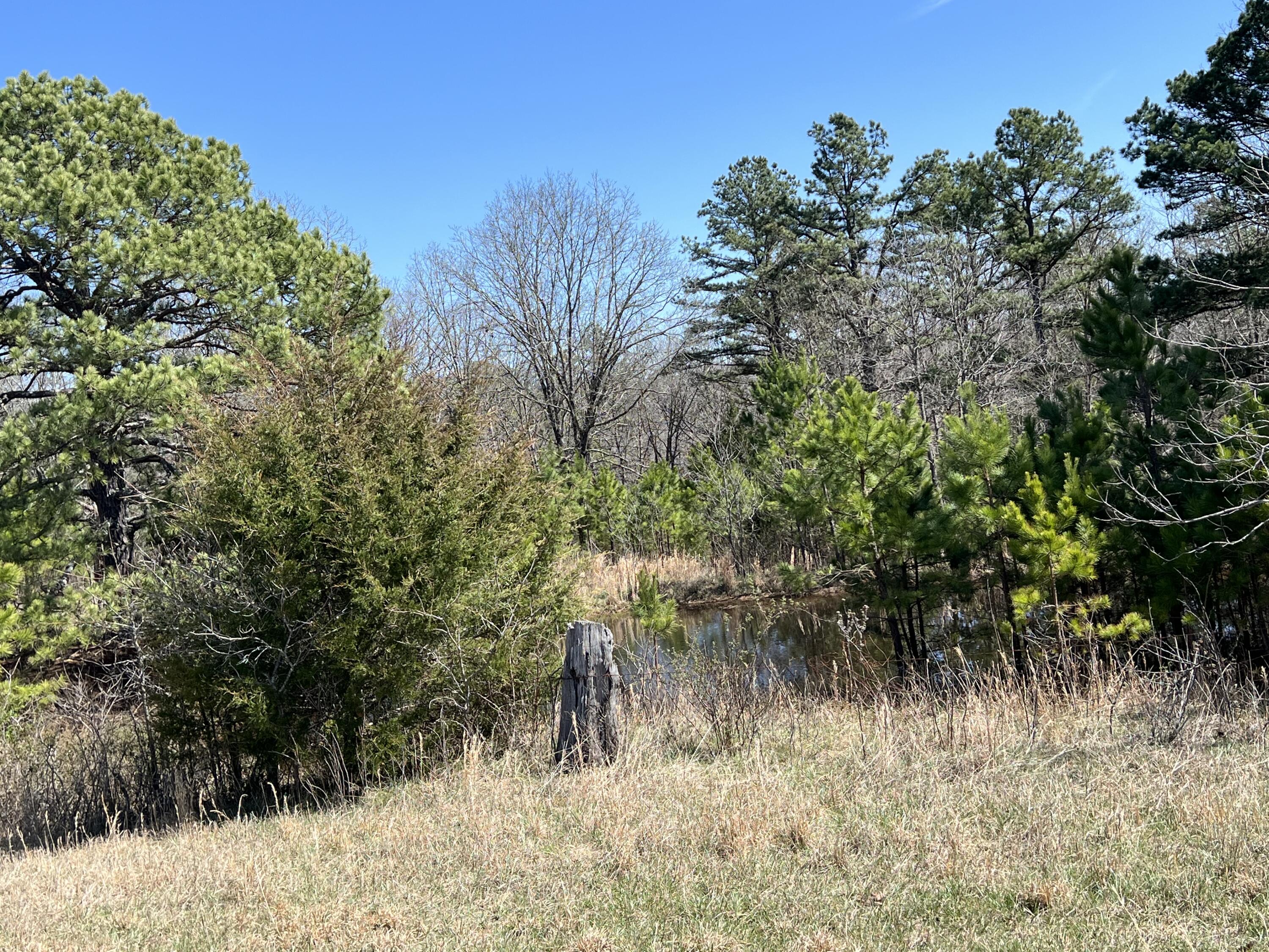 23813 State Rte Z Summersville, MO 65571 - Photo 82 of 92 IMG_4979