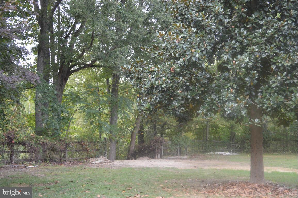 1404 Caledon Road King George, VA 22485 - Photo 22 of 28 LARGE FRONT YARD WITH MATURE TREES