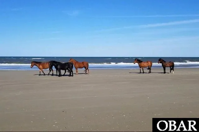 $27,000 | 1649 Sandfiddler Road, Corolla, NC 27927