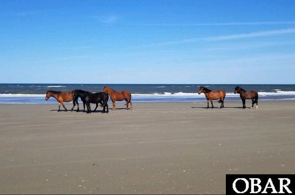 1649 Sandfiddler Road Corolla, NC 27927 - Photo 3 of 3