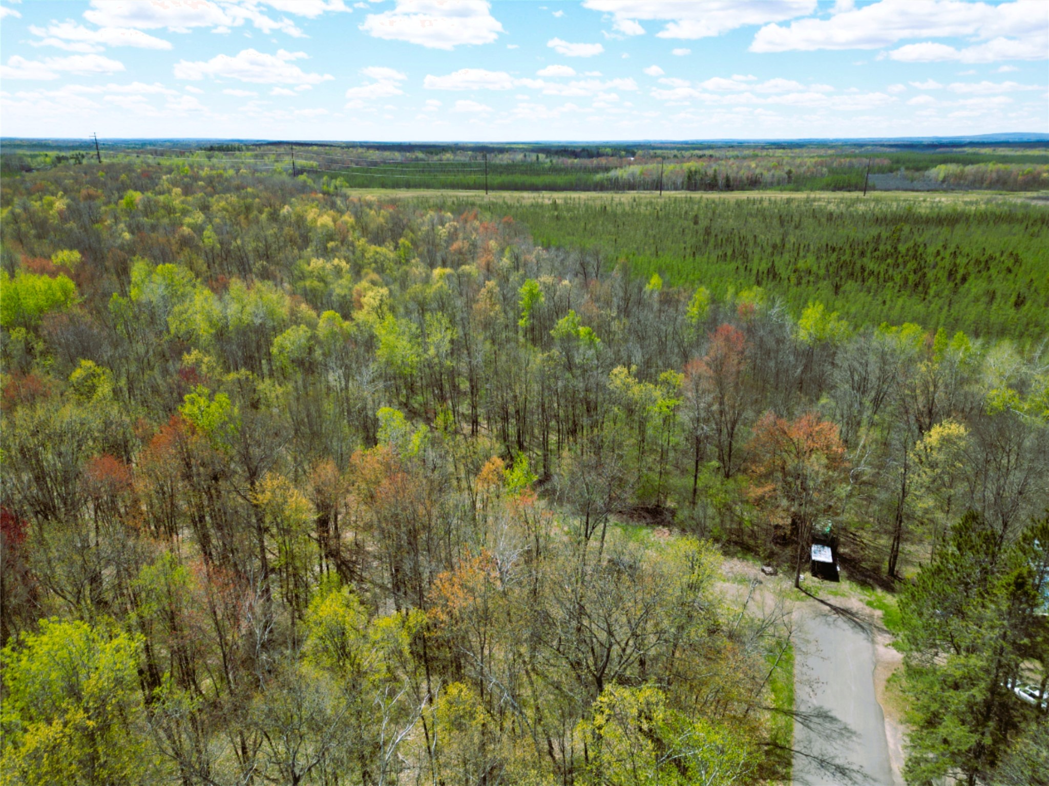 96 White Birch Ridge Road Ladysmith, WI 54848 - Photo 6 of 13