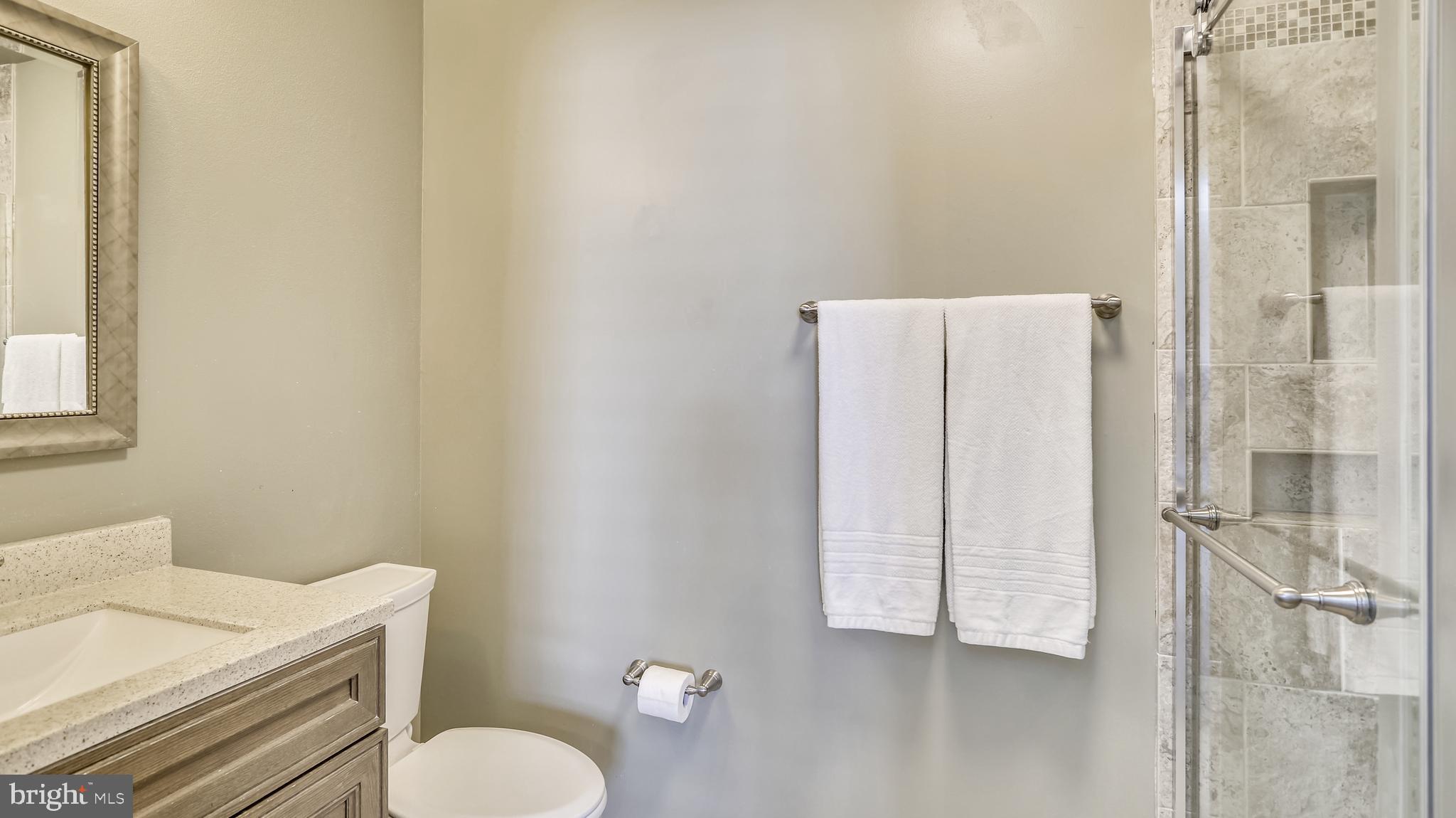 948 Fall Ridge Way Gambrills, MD 21054 - Photo 30 of 40 Master bathroom