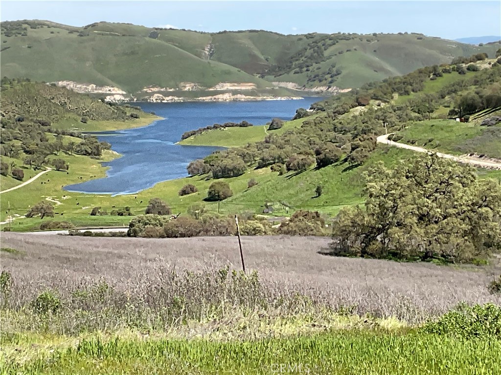 a view of a garden with mountains in the background