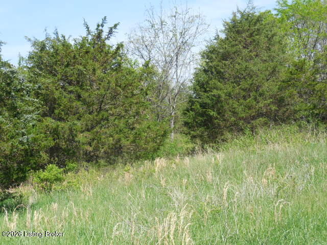 1655 Stewart Ridge Road Sparta, KY 41086 - Photo 24 of 31 DSCN3103