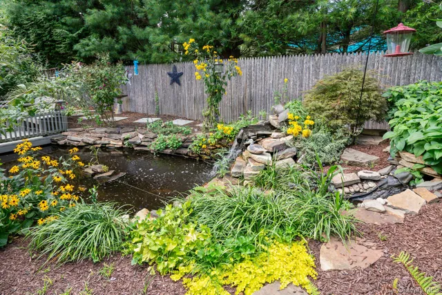 a view of a garden with potted plants