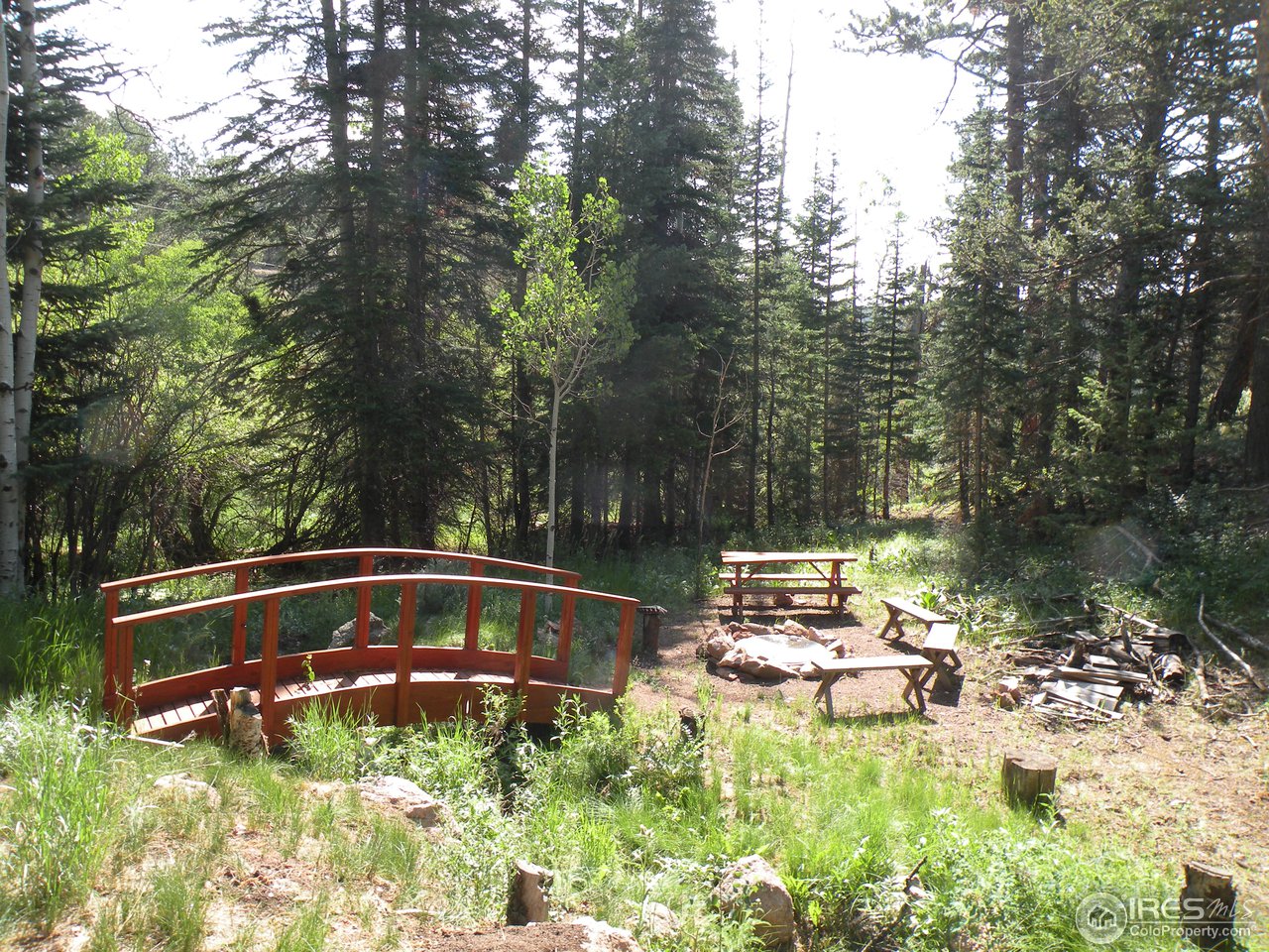 180 Beartrap Road Red Feather Lakes, CO 80545 - Photo 11 of 19 Gallery Image 11