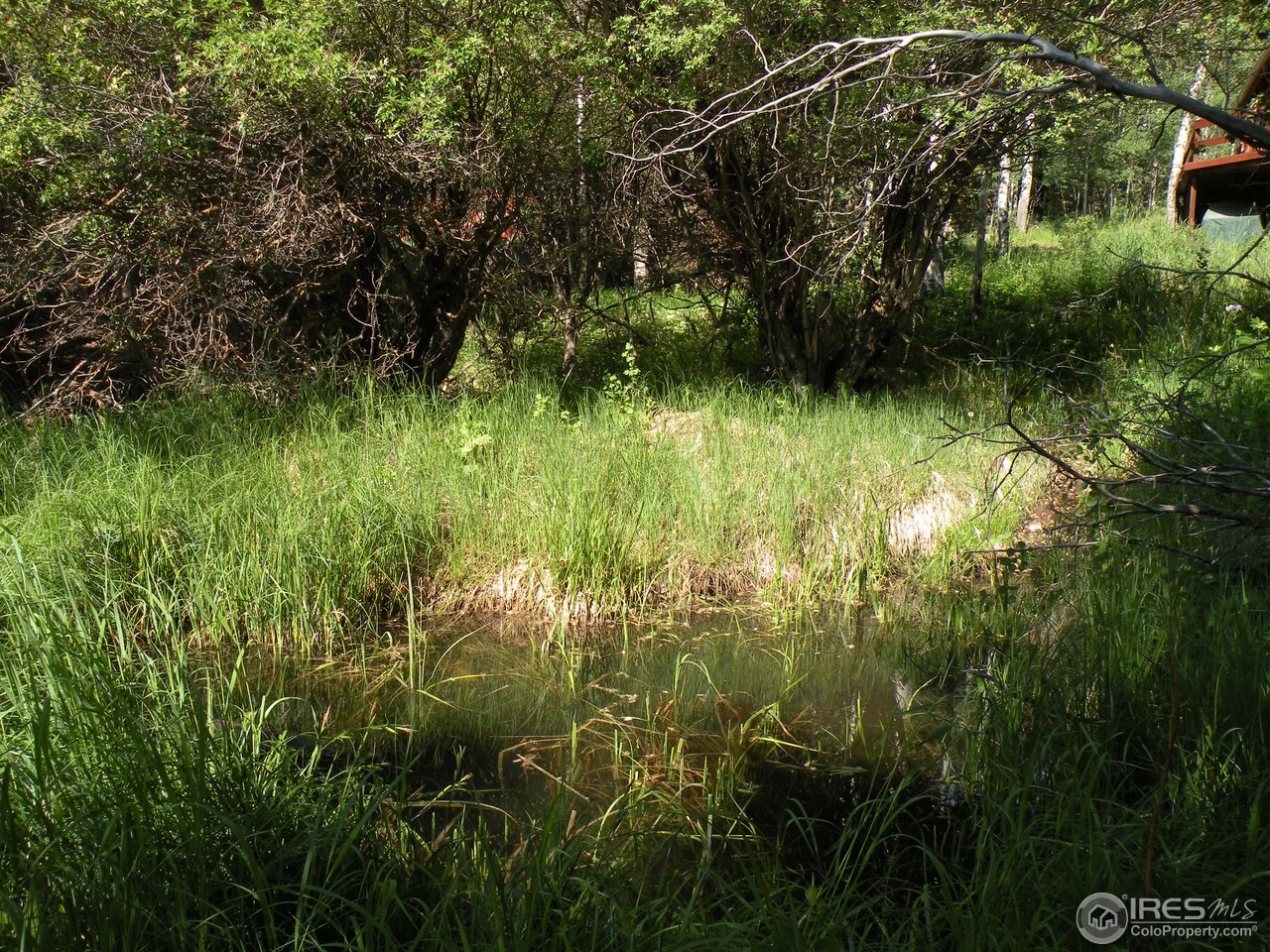 180 Beartrap Road Red Feather Lakes, CO 80545 - Photo 13 of 19 Gallery Image 13