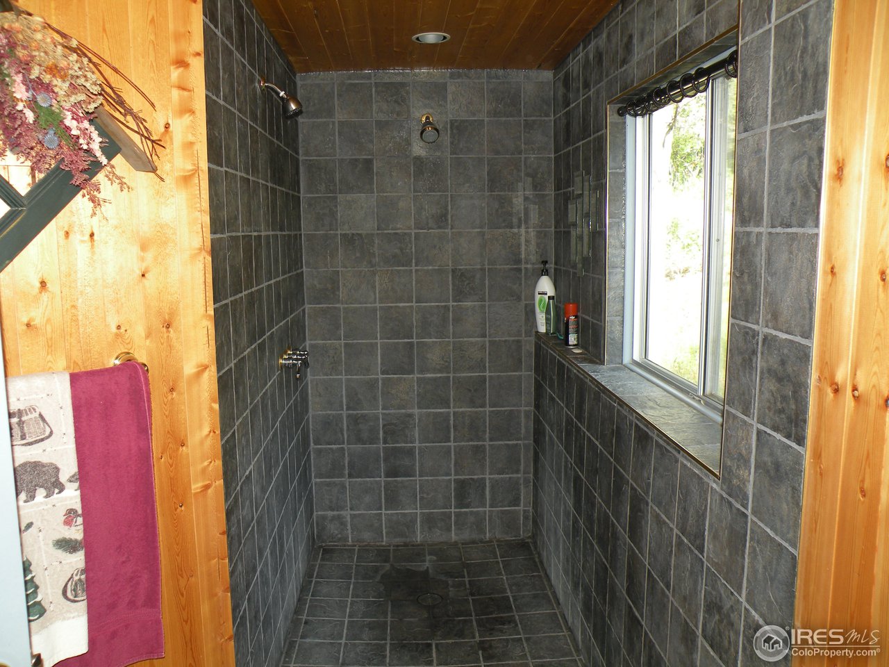 180 Beartrap Road Red Feather Lakes, CO 80545 - Photo 9 of 19 Gallery Image 9