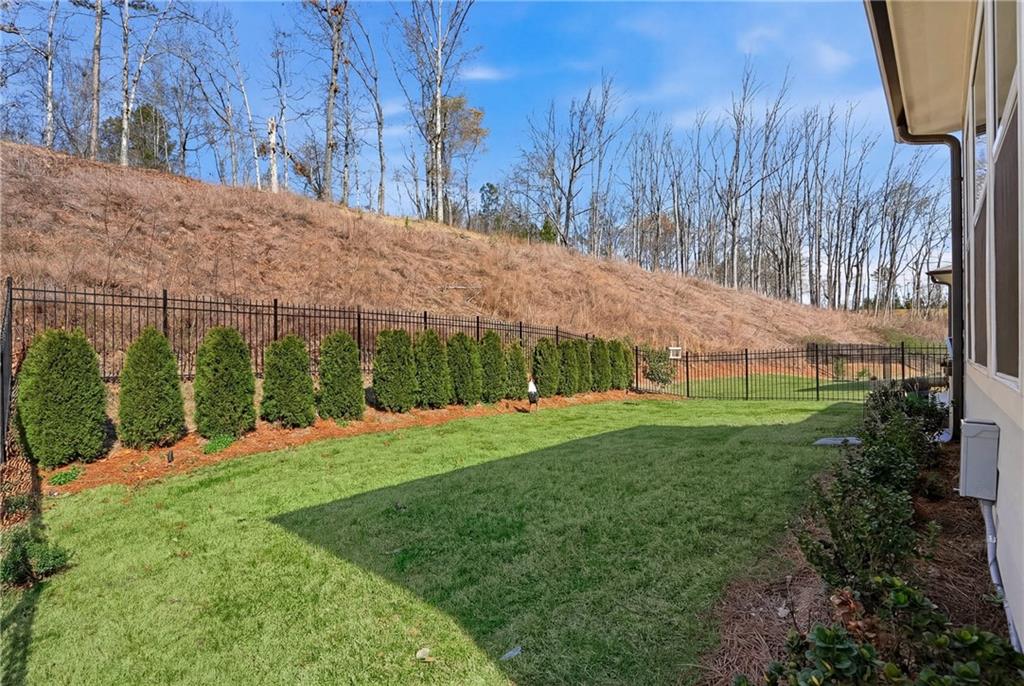 6742 Welcome Road Flowery Branch, GA 30542 - Photo 32 of 48 a view of a backyard