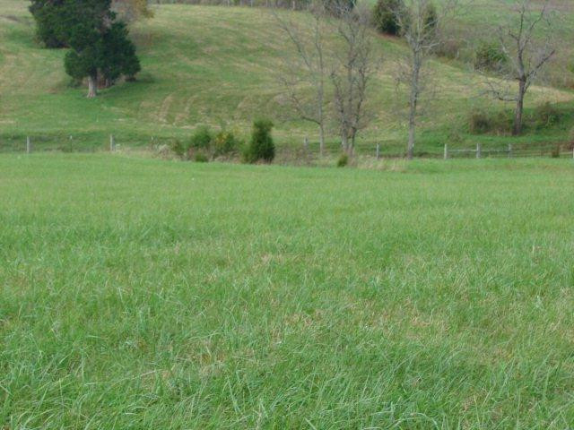 0 East Ralph Parks Road Richmond, KY 40475 - Photo 13 of 37 Photo 13