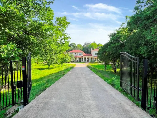 a view of a park with large trees