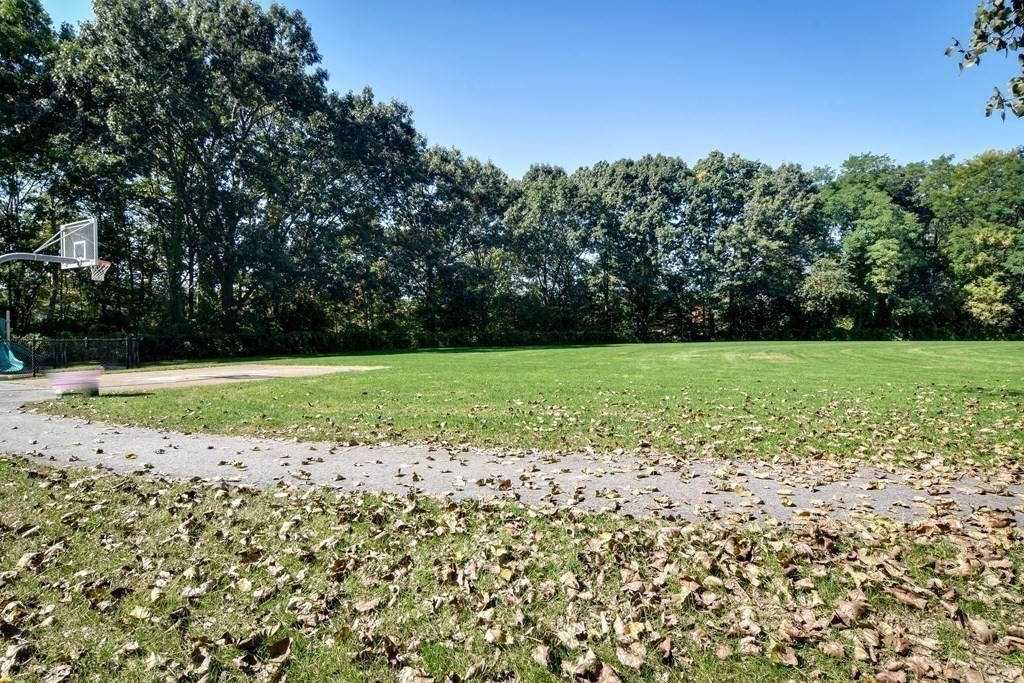 46 Cochituate Road, Unit 509 Framingham, MA 01701 - Photo 19 of 21 Gallery Image 19