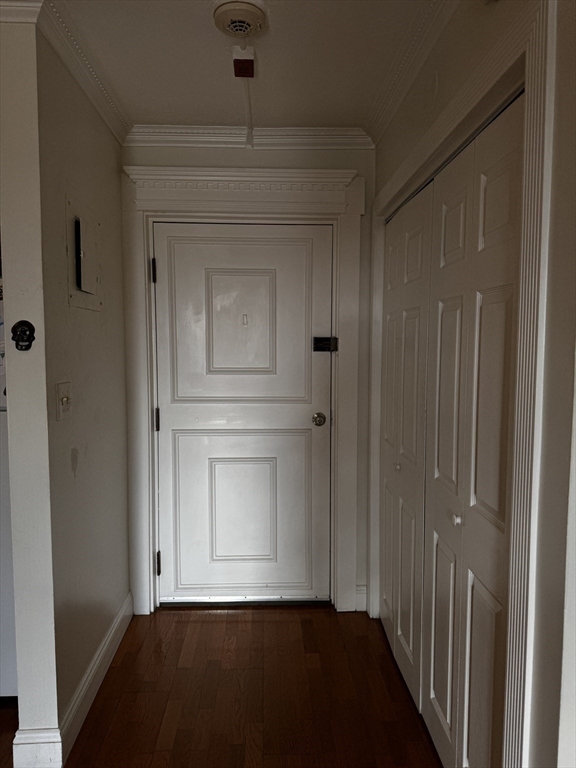 46 Cochituate Road, Unit 509 Framingham, MA 01701 - Photo 5 of 21 Gallery Image 5