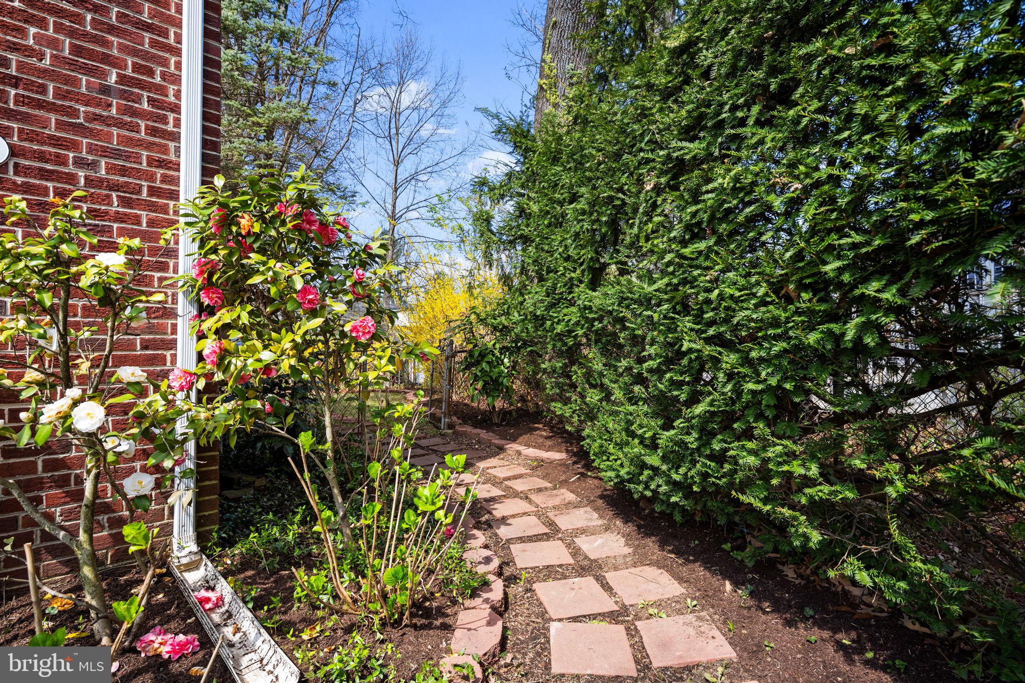 21 Lauer Court Silver Spring, MD 20901 - Photo 33 of 47