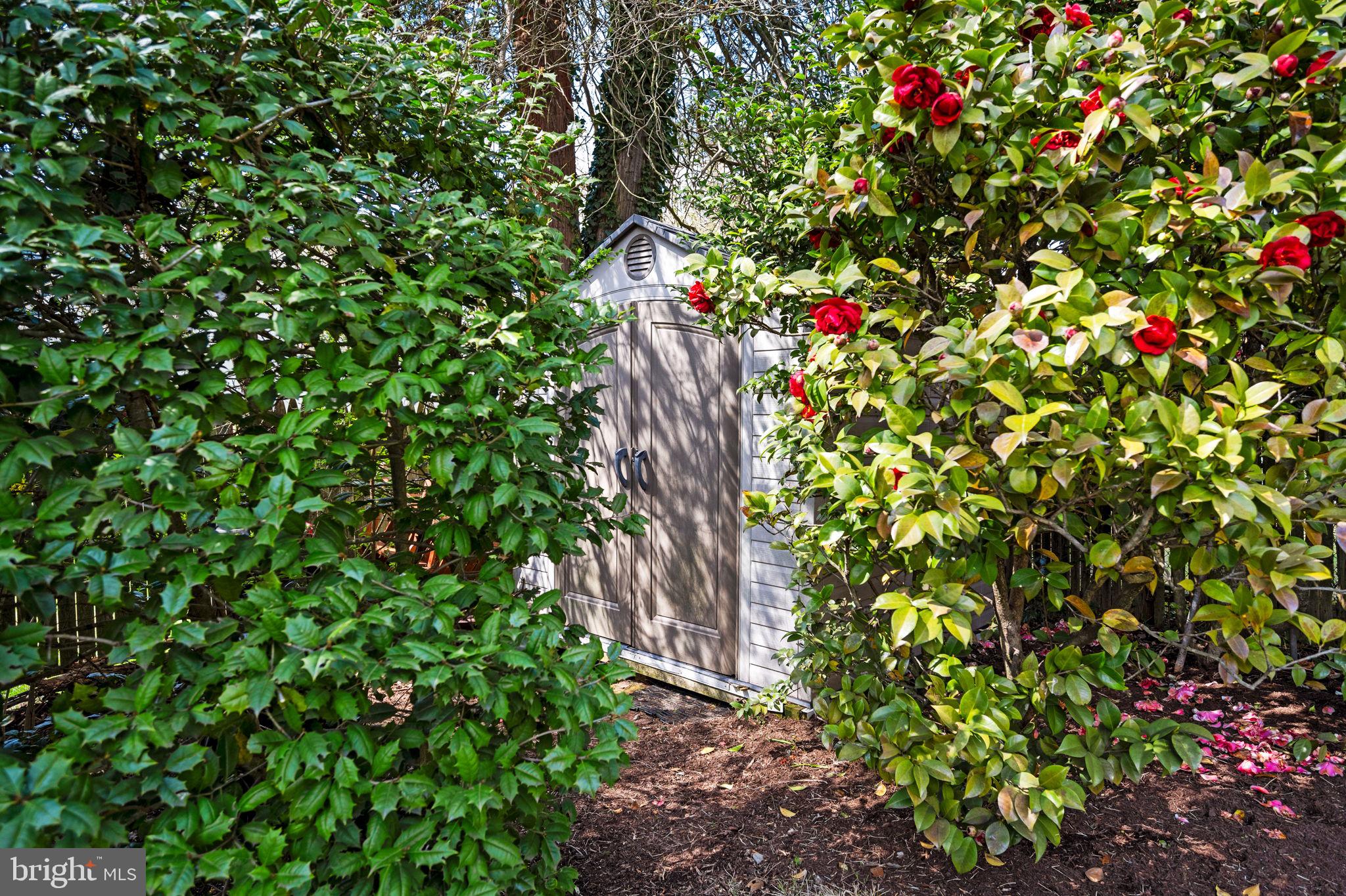21 Lauer Court Silver Spring, MD 20901 - Photo 43 of 47